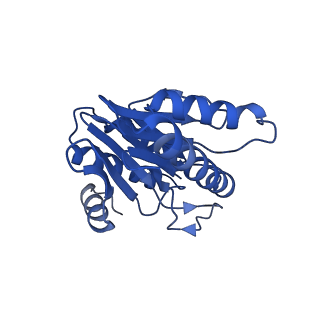 20878_6utg_Y_v1-1
Allosteric coupling between alpha-rings of the 20S proteasome, 20S singly capped with a PA26/V230F