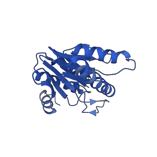 20878_6utg_Y_v1-2
Allosteric coupling between alpha-rings of the 20S proteasome, 20S singly capped with a PA26/V230F