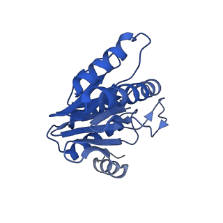 20878_6utg_Z_v1-1
Allosteric coupling between alpha-rings of the 20S proteasome, 20S singly capped with a PA26/V230F