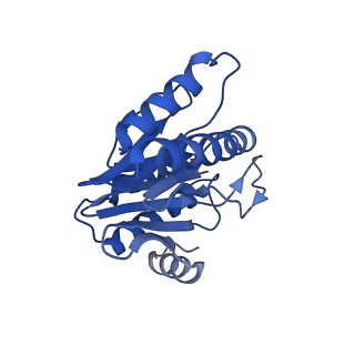 20878_6utg_Z_v1-2
Allosteric coupling between alpha-rings of the 20S proteasome, 20S singly capped with a PA26/V230F