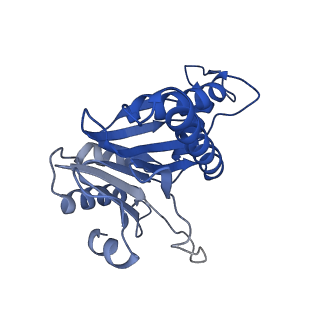 20878_6utg_a_v1-1
Allosteric coupling between alpha-rings of the 20S proteasome, 20S singly capped with a PA26/V230F