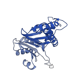 20878_6utg_a_v1-2
Allosteric coupling between alpha-rings of the 20S proteasome, 20S singly capped with a PA26/V230F