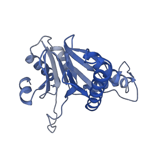 20878_6utg_b_v1-1
Allosteric coupling between alpha-rings of the 20S proteasome, 20S singly capped with a PA26/V230F
