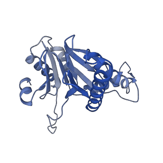 20878_6utg_b_v1-2
Allosteric coupling between alpha-rings of the 20S proteasome, 20S singly capped with a PA26/V230F