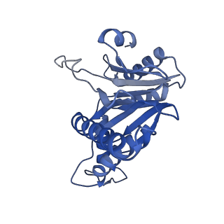 20878_6utg_c_v1-1
Allosteric coupling between alpha-rings of the 20S proteasome, 20S singly capped with a PA26/V230F