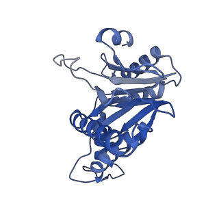 20878_6utg_c_v1-2
Allosteric coupling between alpha-rings of the 20S proteasome, 20S singly capped with a PA26/V230F