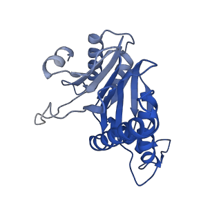 20878_6utg_d_v1-2
Allosteric coupling between alpha-rings of the 20S proteasome, 20S singly capped with a PA26/V230F