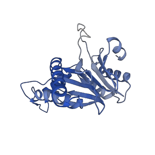 20878_6utg_e_v1-1
Allosteric coupling between alpha-rings of the 20S proteasome, 20S singly capped with a PA26/V230F