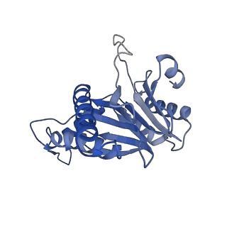 20878_6utg_e_v1-2
Allosteric coupling between alpha-rings of the 20S proteasome, 20S singly capped with a PA26/V230F