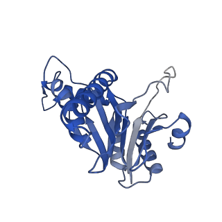 20878_6utg_f_v1-1
Allosteric coupling between alpha-rings of the 20S proteasome, 20S singly capped with a PA26/V230F