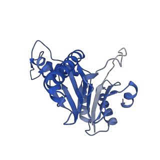 20878_6utg_f_v1-2
Allosteric coupling between alpha-rings of the 20S proteasome, 20S singly capped with a PA26/V230F