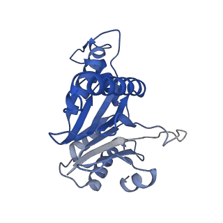 20878_6utg_g_v1-1
Allosteric coupling between alpha-rings of the 20S proteasome, 20S singly capped with a PA26/V230F