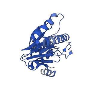 20879_6uth_1_v1-1
Allosteric coupling between alpha-rings of 20S proteasome, 20S proteasome singly capped with a PA26/E102A_PANc, together with LFP incubation