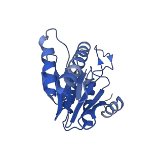 20879_6uth_2_v1-1
Allosteric coupling between alpha-rings of 20S proteasome, 20S proteasome singly capped with a PA26/E102A_PANc, together with LFP incubation