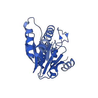 20879_6uth_2_v1-2
Allosteric coupling between alpha-rings of 20S proteasome, 20S proteasome singly capped with a PA26/E102A_PANc, together with LFP incubation