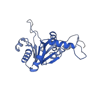 20879_6uth_A_v1-1
Allosteric coupling between alpha-rings of 20S proteasome, 20S proteasome singly capped with a PA26/E102A_PANc, together with LFP incubation