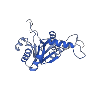 20879_6uth_A_v1-2
Allosteric coupling between alpha-rings of 20S proteasome, 20S proteasome singly capped with a PA26/E102A_PANc, together with LFP incubation