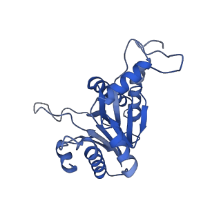 20879_6uth_B_v1-1
Allosteric coupling between alpha-rings of 20S proteasome, 20S proteasome singly capped with a PA26/E102A_PANc, together with LFP incubation