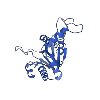 20879_6uth_B_v1-2
Allosteric coupling between alpha-rings of 20S proteasome, 20S proteasome singly capped with a PA26/E102A_PANc, together with LFP incubation