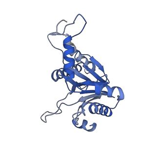 20879_6uth_C_v1-1
Allosteric coupling between alpha-rings of 20S proteasome, 20S proteasome singly capped with a PA26/E102A_PANc, together with LFP incubation