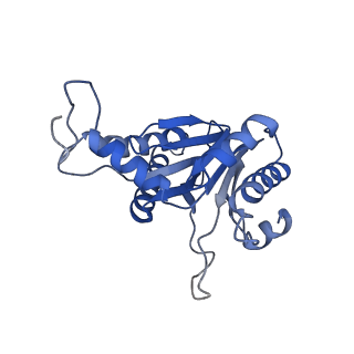 20879_6uth_D_v1-1
Allosteric coupling between alpha-rings of 20S proteasome, 20S proteasome singly capped with a PA26/E102A_PANc, together with LFP incubation