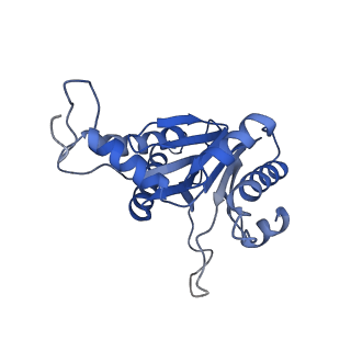 20879_6uth_D_v1-2
Allosteric coupling between alpha-rings of 20S proteasome, 20S proteasome singly capped with a PA26/E102A_PANc, together with LFP incubation