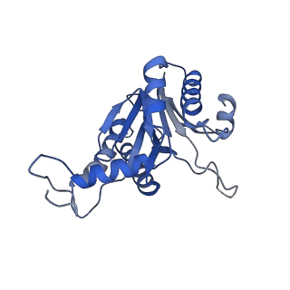 20879_6uth_E_v1-1
Allosteric coupling between alpha-rings of 20S proteasome, 20S proteasome singly capped with a PA26/E102A_PANc, together with LFP incubation