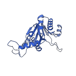 20879_6uth_E_v1-2
Allosteric coupling between alpha-rings of 20S proteasome, 20S proteasome singly capped with a PA26/E102A_PANc, together with LFP incubation