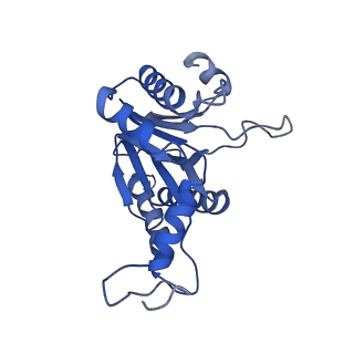 20879_6uth_F_v1-1
Allosteric coupling between alpha-rings of 20S proteasome, 20S proteasome singly capped with a PA26/E102A_PANc, together with LFP incubation