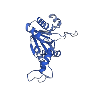 20879_6uth_F_v1-2
Allosteric coupling between alpha-rings of 20S proteasome, 20S proteasome singly capped with a PA26/E102A_PANc, together with LFP incubation