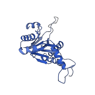 20879_6uth_G_v1-1
Allosteric coupling between alpha-rings of 20S proteasome, 20S proteasome singly capped with a PA26/E102A_PANc, together with LFP incubation