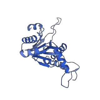 20879_6uth_G_v1-2
Allosteric coupling between alpha-rings of 20S proteasome, 20S proteasome singly capped with a PA26/E102A_PANc, together with LFP incubation