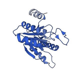 20879_6uth_H_v1-1
Allosteric coupling between alpha-rings of 20S proteasome, 20S proteasome singly capped with a PA26/E102A_PANc, together with LFP incubation