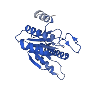 20879_6uth_H_v1-2
Allosteric coupling between alpha-rings of 20S proteasome, 20S proteasome singly capped with a PA26/E102A_PANc, together with LFP incubation