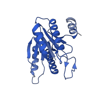 20879_6uth_I_v1-2
Allosteric coupling between alpha-rings of 20S proteasome, 20S proteasome singly capped with a PA26/E102A_PANc, together with LFP incubation