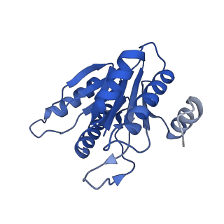 20879_6uth_J_v1-1
Allosteric coupling between alpha-rings of 20S proteasome, 20S proteasome singly capped with a PA26/E102A_PANc, together with LFP incubation