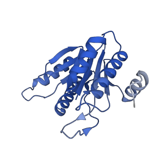 20879_6uth_J_v1-2
Allosteric coupling between alpha-rings of 20S proteasome, 20S proteasome singly capped with a PA26/E102A_PANc, together with LFP incubation