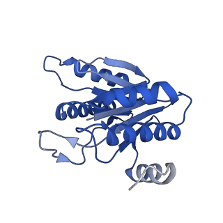 20879_6uth_K_v1-1
Allosteric coupling between alpha-rings of 20S proteasome, 20S proteasome singly capped with a PA26/E102A_PANc, together with LFP incubation