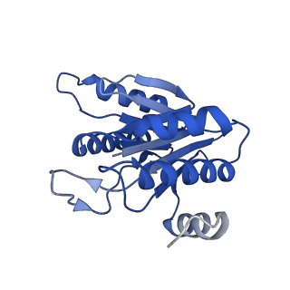 20879_6uth_K_v1-2
Allosteric coupling between alpha-rings of 20S proteasome, 20S proteasome singly capped with a PA26/E102A_PANc, together with LFP incubation