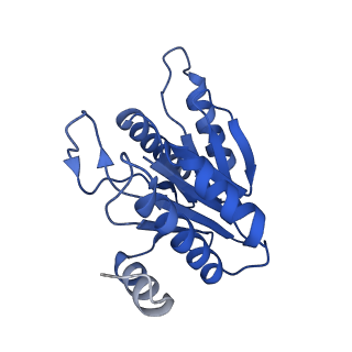 20879_6uth_L_v1-1
Allosteric coupling between alpha-rings of 20S proteasome, 20S proteasome singly capped with a PA26/E102A_PANc, together with LFP incubation