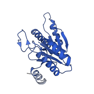 20879_6uth_L_v1-2
Allosteric coupling between alpha-rings of 20S proteasome, 20S proteasome singly capped with a PA26/E102A_PANc, together with LFP incubation