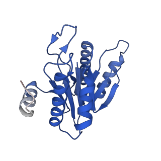 20879_6uth_M_v1-1
Allosteric coupling between alpha-rings of 20S proteasome, 20S proteasome singly capped with a PA26/E102A_PANc, together with LFP incubation