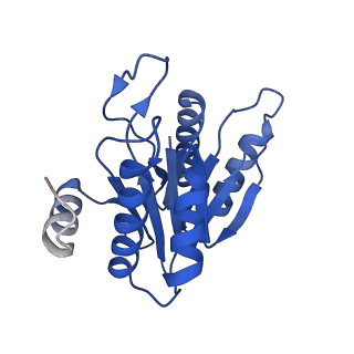 20879_6uth_M_v1-2
Allosteric coupling between alpha-rings of 20S proteasome, 20S proteasome singly capped with a PA26/E102A_PANc, together with LFP incubation