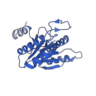 20879_6uth_N_v1-1
Allosteric coupling between alpha-rings of 20S proteasome, 20S proteasome singly capped with a PA26/E102A_PANc, together with LFP incubation