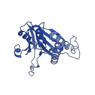 20879_6uth_O_v1-1
Allosteric coupling between alpha-rings of 20S proteasome, 20S proteasome singly capped with a PA26/E102A_PANc, together with LFP incubation