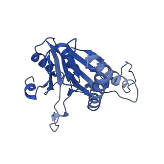 20879_6uth_O_v1-2
Allosteric coupling between alpha-rings of 20S proteasome, 20S proteasome singly capped with a PA26/E102A_PANc, together with LFP incubation