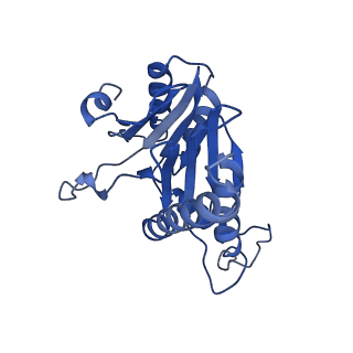 20879_6uth_P_v1-1
Allosteric coupling between alpha-rings of 20S proteasome, 20S proteasome singly capped with a PA26/E102A_PANc, together with LFP incubation