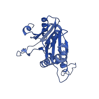 20879_6uth_P_v1-2
Allosteric coupling between alpha-rings of 20S proteasome, 20S proteasome singly capped with a PA26/E102A_PANc, together with LFP incubation