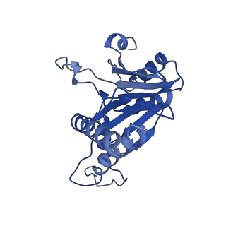20879_6uth_Q_v1-1
Allosteric coupling between alpha-rings of 20S proteasome, 20S proteasome singly capped with a PA26/E102A_PANc, together with LFP incubation