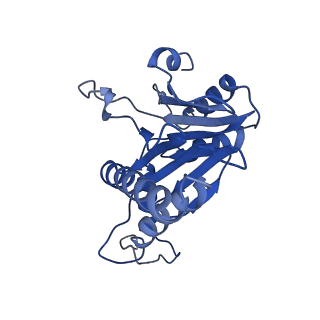 20879_6uth_Q_v1-2
Allosteric coupling between alpha-rings of 20S proteasome, 20S proteasome singly capped with a PA26/E102A_PANc, together with LFP incubation